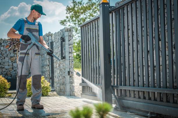 Best Roof Washing  in Lake Crystal, MN