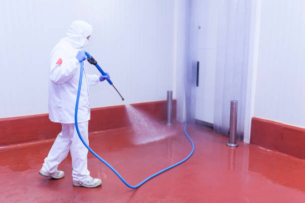 Best Winterizing Services  in Lake Crystal, MN