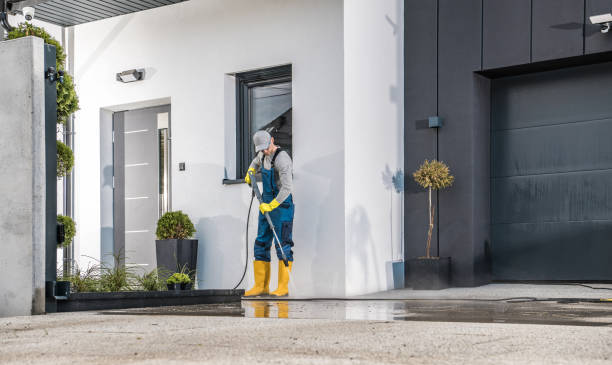 Best Dumpster Area Cleaning  in Lake Crystal, MN